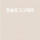 한솔pet도어 포그그레이 vs 안도크림 비교하기