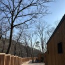 자연태양광2호 | 수락산 동막골 자연휴양림 '수락휴' 개별동 2호(태양은 가득히) 숙박 후기