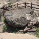 동일리-10 이미지