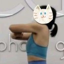 운동하는 코끼리 이미지