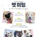 펫바비 | 제주시 유기견 산책 팝업 펫미팅 참여 후기 마핑고카페