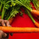 클라이짐 이미지