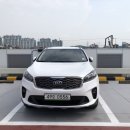 그린카마스타 이미지