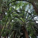 베이의원 이미지