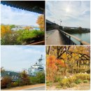 웅진동주민센터 옆 공원 | 마포구산책 1부 - 망원한강길 + 평화의공원