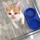 태종동물병원 이미지