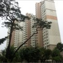수원-1352 이미지