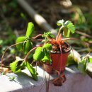 하가정원유치원 이미지