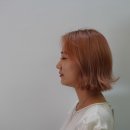 로즈헤어리빙