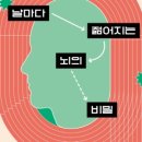명석문고 이미지