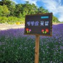 원주박사여의주공인중개사사무소 이미지