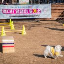 공원옆 동물병원 이미지