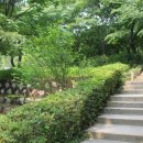 삼청공원 정문 Daum카페