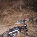 임피남산 약수터 이미지