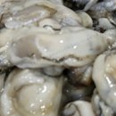 세일수산