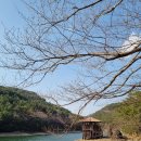 봉암 | 창원 봉암유원지 주차부터 산책 코스까지! 아이와 가볼만한곳 추천