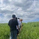 달려간다출장세차 | 하래포토 • 제주웨딩스냅 출장 후기🏝✈️ (2탄)