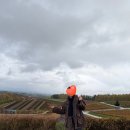 장두못공원 | [나홀로 삿포로 2일차] 비에이 투어 _ 인디고트래블 후기