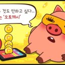 오토링 - 시흥시 동서로 1045-2 | 오토링