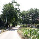 송촌2리 이미지