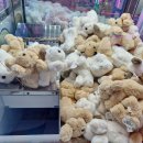 인형뽑기 이미지