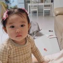 스트롤러 이미지