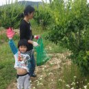 이병훈농장 이미지