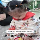 미술이랑놀아요 | [내돈내산]오우아스튜디오 유아 방수가운 전신 미술 코니베이지S 문센 어린이집 9개월아기 사용후기