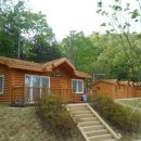 입화산참살이숲야영장 이미지