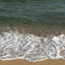 영랑작은도서관 이미지