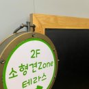 월드애견 이미지