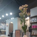 ForYou헤어샵 네이버블로그