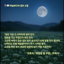 메밀이야기