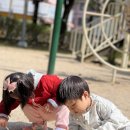 무양공원 놀이터(무양) 이미지