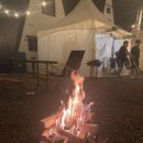 별을 담은 숲 이미지