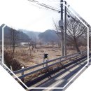 가평전원공인중개사사무소 | 가평군토지매매,가평읍토지매매,가평군부동산매매...부동산 2,527㎡(약 764평) 6.6억 매매/써브공인중개사
