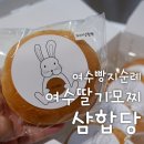 여수 빵지순례 여수딸기모찌 삼합당 삼합빵 세트 후기