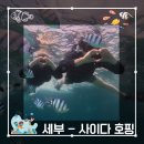 사이다 짐 | [ 세부 ] 가성비 장난아닌 사이다호핑 내돈내산 상세후기