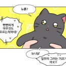 큐티멍 이미지