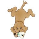 원조전라도호남광주목포횟집 이미지