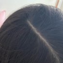 케이엘 글로벌 | 헤어토닉 추천 그랩헤어 탈모예방 두피관리 탈모앰플 사용후기