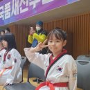 명장 돌려차기태권도장 이미지
