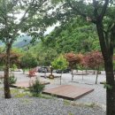 연가리 캠핑펜션 | 2020.05.15~05.17. 쿠시와 39번째 캠핑. 장박 2주차. 인제 연가리 오토캠핑장.