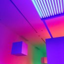 도담다방 | 모래에서도 꽃은 핀다