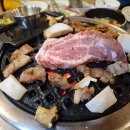 술시 이미지