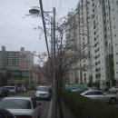 용산-404 이미지