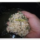 영양보리밥 이미지