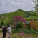 배나무꽃캠핑장