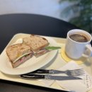 [대전도안동맛집/빵맛집]하디앤소프티(샤워도우샌드위치)