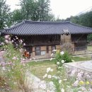 하루의 기억 이미지